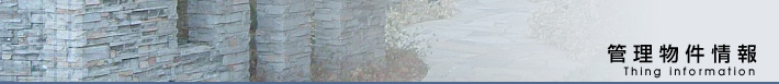 Ǘ